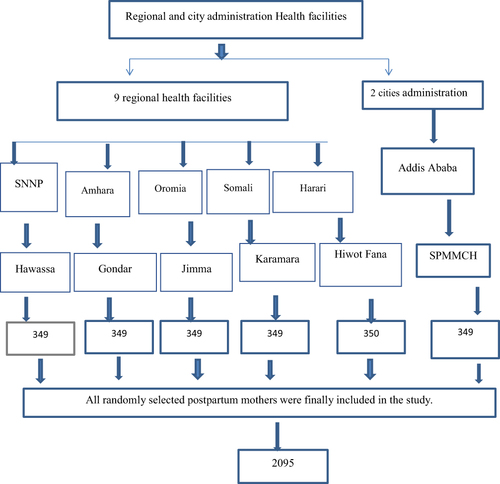 Figure 1 Sample size and sampling procedure.