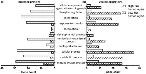 Figure 4. GO analysis of biological processes and gene counts of serum proteins.