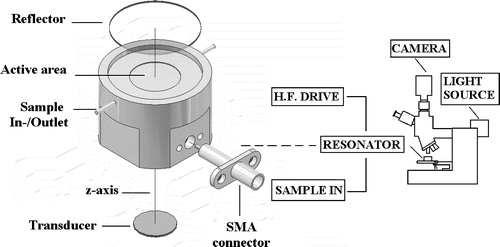 Figure 2. Experimental assembly. The resonator outer diameter is 25 mm. Its main components were a 1.5 MHz disc transducer that was glue-attached to a steel acoustic coupling layer, a sample volume and glass acoustic reflector. The thicknesses of the different layers were selected to give a highly resonant system Citation[24].