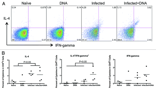Figure 4. The balance of Th1 and Th2 responses induced by schistosome infection and followed HIV vaccination. Lymphocytes isolated from one week after the last immunization were stimulated with antigen for 5 h and stained with surface and inner antibodies and analyzed by flow cytometry. (A) Expression of Th2 and Th1 cytokines, IL-4 and IFN-γ, in CD4+ T cells from one representative animal in each group. (B) Cytokine expression for antigen stimulation (medium alone values subtracted) is enumerated per immunization group and shown for IL-4, IFN-gamma and IFN-gamma+IL-4+. *p < 0.05 per the unpaired t test.