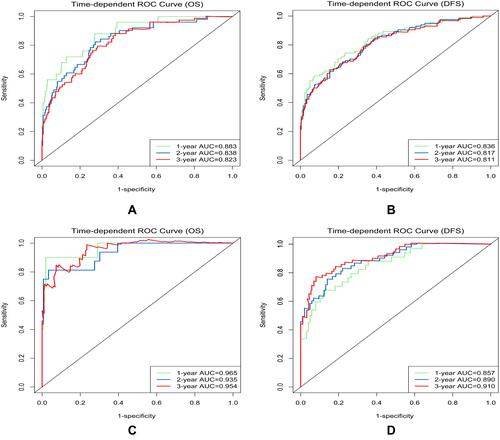 Figure 1 Time-dependent receiver operating characteristic (ROC) curves for the overall survival (OS) and disease-free survival (DFS)-associated nomograms for predicting 1-, 2-, and 3-year survival rates. Time-dependent ROC curves from the nomograms for the prediction of OS and DFS rates in the training (A and B) and testing (C and D) sets, respectively.