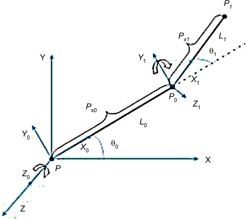 Figure 4 A kinematic diagram of a two-joint module shows two different axis transformations. The first is a Z axis transformation followed by the Y axis.