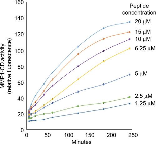 Figure S1 Kinetics and peptide substrate concentration dependence of cleavage by MMP1-CD.Notes: To optimize assay conditions for HTS, we examined both the MMP1-CD concentration dependence and the fluorogenic peptide substrate concentration dependence on the kinetics of peptide substrate cleavage by MMP1-CD. This figure shows the peptide substrate concentration dependence of cleavage by 0.2 ng/mL MMP1-CD. MMP1-CD was incubated with peptide substrate at the indicated concentrations for 4 hours at room temperature. Relative fluorescence intensity was monitored at the indicated times. Each point represents the mean of three independent experiments.Abbreviations: HTS, high-throughput screening; MMP1-CD, matrix metalloproteinase-1-catalytic domain.