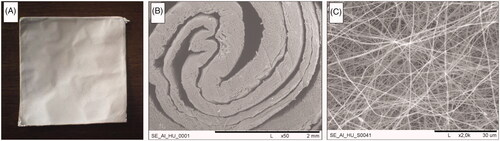 Figure 2. (A) Macroscopical image of PCL membrane, (B) SEM image showing the macrochannels of the spiral wounded scaffold, (C) SEM image showing the nanofibrous structure of the PCL scaffold.