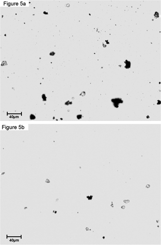 Figure 5. Scanning light microscope image of particles collected at the Universidad de Flores during the week 23/2006: (a) particle sample of the traffic related site, (b) particle sample of the “backyard” site.