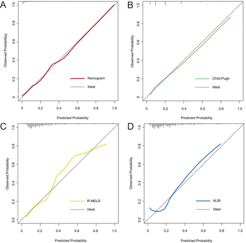 Figure 6 The calibration curve of each model. (A) Nomogram. (B) Child.Pugh. (C) R.MELD. (D) ALBI.