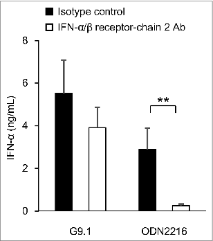Figure 4. G9.1 generates a stronger IFN-α/β receptor-independent IFN-α production than ODN2216. Peripheral blood mononuclear cells (PBMCs) were cultured with 1 μM G9.1 or ODN2216 in the presence of anti-human interferon (IFN)-α/β receptor chain 2 antibody (Ab) or an isotype control (4 μg/mL, PBL Interferon Source, NJ, USA). The amount of IFN-α in the culture supernatant was measured using a multi-subtype ELISA Kit (PBL Interferon Source). **P < 0.01 in the paired t test (n = 6). Reproduced with permission from Maeyama et al.Citation26