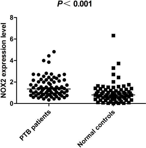 Figure 2 The NOX2 mRNA level in PBMCs from PTB patients and healthy controls.