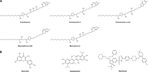 Figure 1 Chemical structures of (A) lead acetogenins and (B) inhibitors. Chiral centers are marked with an asterisk (*).