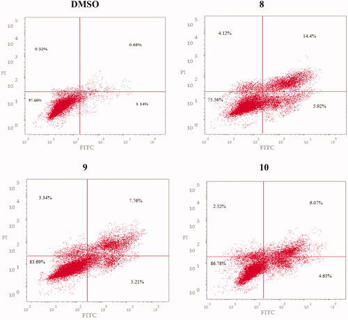 Figure 4. Effect of compounds 8–10 on the percentage of annexin V-FIT positive staining in MCF-7 cells on exposure for 24 h. The cells were treated with DMSO as control.