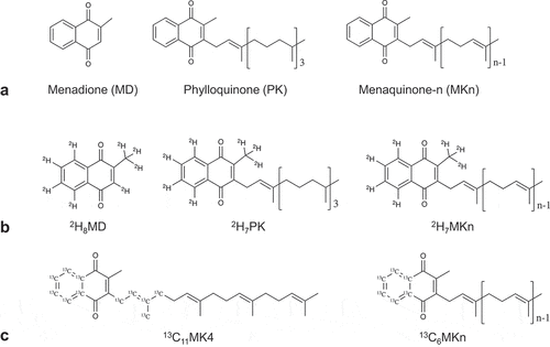 Figure 1. Chemical structures of vitamin K (VK) quinones. (a) All VK quinones share a common naphthoquinone ring (menadione (MD), considered a provitamin K) and can vary in length and saturation of the sidechain. Phylloquinone (PK) is produced by plants and has a mostly saturated sidechain, whereas menaquinones (MKn) are largely produced by bacteria and have unsaturated (n = number of prenyl units) sidechains. Stable-isotope label placement on B) deuterium (2H)-labeled and C) carbon-13 (13C)-labeled quinones used and/or detected in the stable isotope-labeled animal study (Study 2) and in vitro fermentation study (Study 3)