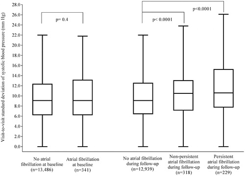 Figure 1. Standard deviation of visit-to-visit systolic blood pressure in patients with or without atrial fibrillation at baseline, and in patients who developed or did not develop atrial fibrillation during follow-up. Data are boxplots of median (solid horizontal line), interquartile range (box outline), minimum, and maximum (whiskers). Extreme values are not shown. No atrial fibrillation at baseline: mean SD 10.0 mm Hg (SD 5.1); Atrial fibrillation at baseline: mean SD 10.3 mm Hg (SD 5.6); No atrial fibrillation during follow-up: mean SD 9.9 mm Hg (SD 5.1); Non-persistent atrial fibrillation during follow-up: mean SD 11.1 mm Hg (SD 5.3); Persistent atrial fibrillation during follow-up: mean SD 11.7 mm Hg (SD 5.5).