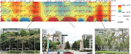 Figure 7. Vertical spatial temperature change diagram of detection points on the north side of a pedestrian walkway.