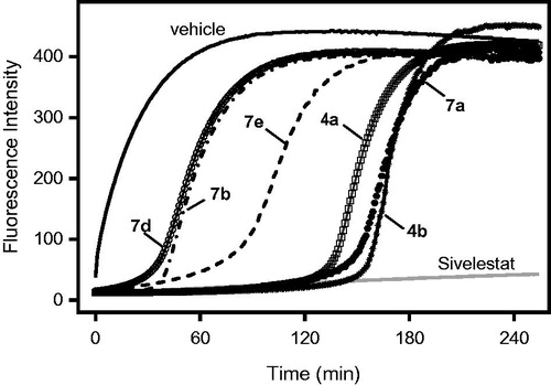 Figure 6. Evaluation of HNE inhibition by representative isoxazolones and Sivelestat over extended periods of time. HNE was incubated with the indicated compounds (8 µM), and kinetic curves monitoring substrate cleavage catalysed by HNE over time are shown. Representative curves are from two independent experiments.