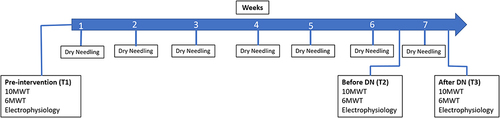 Figure 2 Outline of the protocol. Assessments were performed during Pre-intervention (1st week, T1) and Post-intervention, before (T2) and after (T3) the last DN session (7th week).