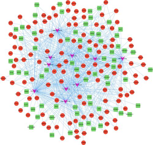 Figure 6 MicroRNA-target DEGs regulatory network. The green and red nodes for the DEGs, and the pink V-shapes for the miRNAs.