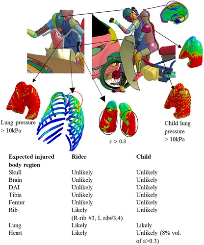 Figure 3. Simulations of config-MC with condition MC.1 (position P3, angle 120°, speed 20 km/h).