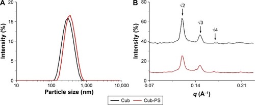 Figure 1 Particle size and SAXS studies.Notes: (A) The particle size of Cub and Cub-PS; (B) SAXS patterns of Cub and Cub-PS.Abbreviations: Cub, cubosomes; Cub-PS, cubosome-polysaccharide nanoparticles; SAXS, small-angle X-ray scattering.
