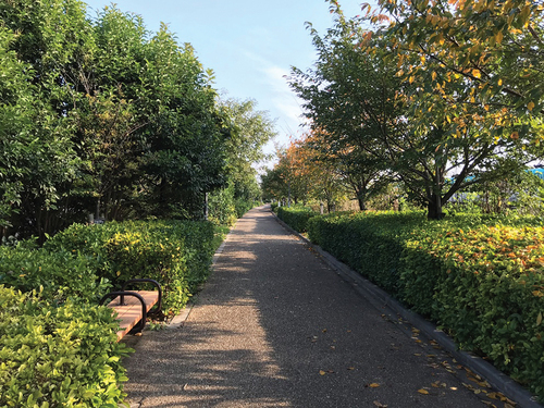 Green promenade along a JR Kyoto line in Suita city, 2021. Source: Miyagawa.