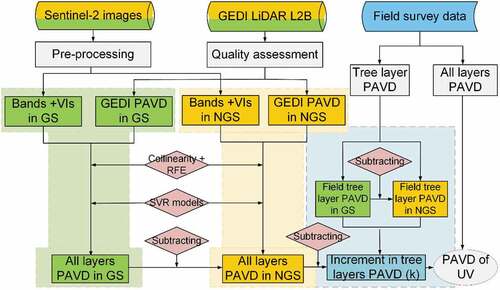 Figure 3. Overall workflow of the understory vegetation estimation. The green and yellow shading indicates the estimation process of PAVD in the growing season and non-growing season respectively, while the blue shading involves the increment of PAVD in the forest canopy. GS: growing season, NGS: non-growing season, and UV: understory vegetation density.