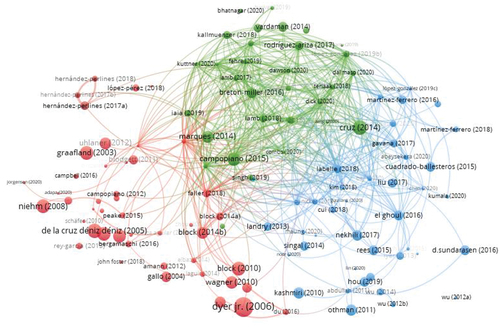 Figure 9. Bibliographic coupling network visualization of Scopus articles stemming from the analysis.