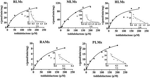 Figure 5. Kinetics of toddalolactone glucuronidation in RLMs, MLMs, HLMs, RAMs and PLMs. The Eadie–Hofstee plots (V–V/S plot) are shown as the inset. Data points represent the mean of triplicate determinations.