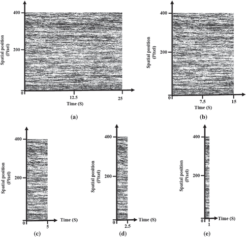 Figure 3. An example of time historical speckle patterns (THSP) at the wavelength of 680 nm: (a), (b), (c), (d), and (e) represent THSP images at the recording times of 25, 15, 10, 5, 2.5, and 1 s, respectively.