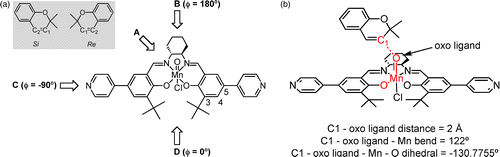 Figure 14 (Colour online) Asymmetric induction for epoxidation of olefins by (salen)Mn catalysts. (a) Proposed directions of approach to the active Mn-oxo moiety of (salen)Mn. is the approach angle defined by the midpoint between the oxygen atoms in the salen ligand, the manganese atom, the oxo ligand and the carbon of the reactant forming a bond with the oxo ligand. (b) The bond-, bend- and dihedral constraints of the saddle point. The inset shows the two enantiofaces (Si and Re) of 2,2-dimethyl-2H-chromene. Figure courtesy of G.A.E. Oxford.