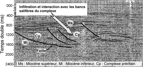 Fig. 8 Contamination par les bancs salifères identifiés à partir de l'interprétation des profils sismiques réflexion.