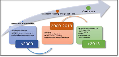 Figure 2. Evolutionary history of the scientific research on common bean.