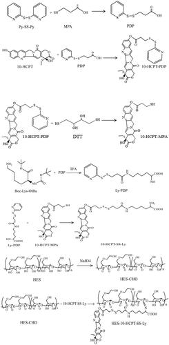 Scheme 1. Synthetic route of HES-10-HCPT-SS-Ly conjugates.