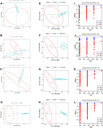 Figure 3 Metabolic profiles of the different ZnO QDs doses and controls at 24 h. (A–D) score plots of the PCA model, (E–H) score plots of the PLS-DA model, (I–L) plot of the permutation test (200 times) of the PLS-DA model.