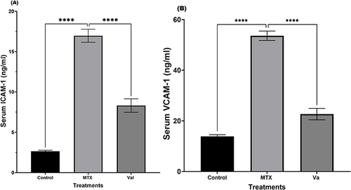 Figure 2 Effects of MTX and Val on adhesion molecules of kidney injury. Serum ICAM-1 (A), serum VCAM-1 (B). Results are presented as mean ± SEM, (n =8). Data was analyzed by One-way ANOVA followed by Sidak’s multiple comparisons. ****P < 0.0001, compared with the MTX group.