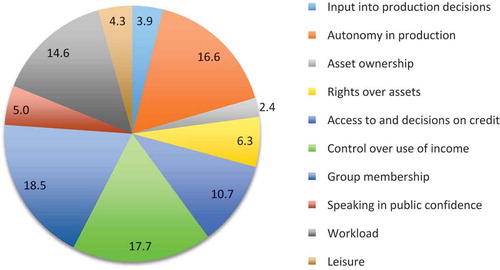 Figure 4. Contribution of the 10 indicators to women’s disempowerment