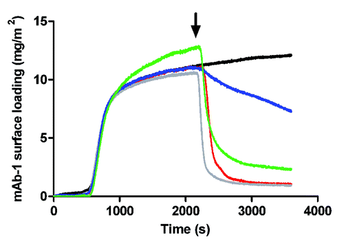 Figure 3. Adsorption of a 0.01 mg/mL solution of mAb-1 to a glass surface (black line), investigated using TIRF, followed by introduction of polysorbate (arrow) in PBS pH 7.4 as follows: Tween 20, 0.05 mM (red line) and 1 mM (gray line); Tween 80, 5 µM (blue line) and 1 mM (green line).