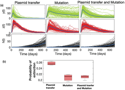 Figure 3. (a) Time series of sensitive strain y(t) (Green) and resistant strain z(t) (Red) and income h(t) (Grey) under different mechanistic process of emergence: mutation, plasmid transfer, and both mutation and plasmid transfer. (b) Box plot of probability of extinction of resistant strain z(t) under different process. We have simulated the model 5000 times for 700 days, and calculated the number of extinction at the 700th day for three different processes with different initial conditions. In numerical case, we consider the extinction probability as proportion of runs which attains the value ‘0’ by 700 days.