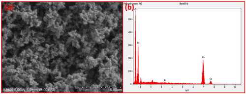 Figure 3. (a) SEM micrographs and (b) EDAX spectra of CO NPs.