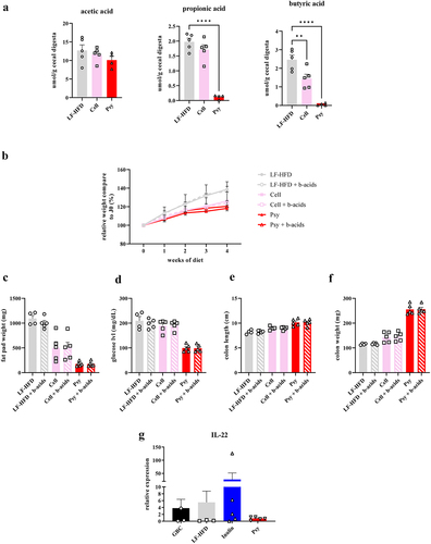 Figure 4. Psyllium did not induce SCFA and did not require fermentation to protect against HFD-induced metabolic syndrome. Male 6- to 8-week-old C57Bl/6 mice were fed with indicated diet for 28 days. (a) Levels of SCFA in the cecum. (b) Relative body weight over time. (c) Epididymal fat pad weight. (d) 5 hours fasting glucose level. (e) Colon length. (f) Colon weight. (g) Relative expression of IL-22. Data are expressed as means ± SEM of n = 5 mice per group except for the following conditions, in which n = 4, due to a mouse being euthanized prior to completion of experiment for reasons not related to experimental conditions (4A: Psy group, 4C-F: LF-HFD group, and 4 G: GBC group). Significance was determined by ANOVA. *P < 0.01, **P < 0.0001.