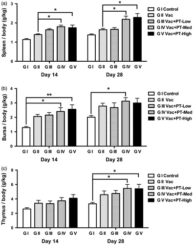 Figure 2. Changes in immune organ indexes of chickens. The relative index of spleen (a), bursa of Fabricius (b) and thymus (c) were detected on Day 14 and 28. The immune organ index = organ weight (g)/body weight (kg). Results are expressed as means and SEM (n = 6/group; *p < .05; **p < .01).