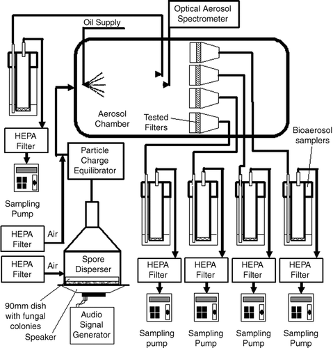 FIG. 2 Experimental setup.