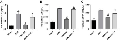 Figure 2 Breviscapine reduced the serum levels of markers of myocardial injury (n = 4 for each group). (A) The levels of cTnI in the four groups. (B) The levels of LDH in the four groups. (C) The levels of CK-MB in the four groups. Data are presented as the mean±standard deviation (SD). *P < 0.05 versus the sham group; #P < 0.05 versus the CME group; &P < 0.05 versus the CME + BE group.