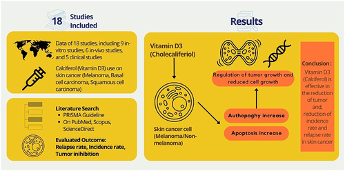 Figure 2 Role of vitamin D in skin cancer.