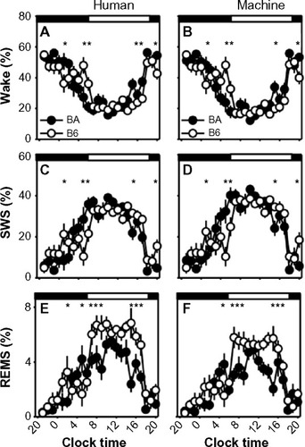 Figure 10 Strain differences in sleep/wake state timing scored in 10-second epochs.