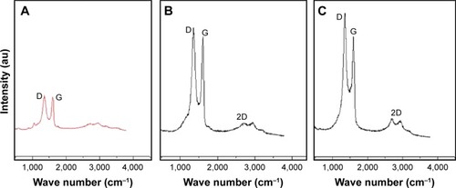 Figure 6 Raman spectroscopy analyses of (A) graphene oxide (GO), (B) reduced graphene oxide (rGO), and (C) rGO–Ag nanocomposite.Notes: Raman spectra of (A) GO, (B) rGO, and (C) rGO–Ag nanocomposite were obtained using a laser excitation wavelength of 532 nm at the power of 1 mW after the removal of background fluorescence. The intensity ratio of the D to G bands (ID/IG) increases to 2.09 (rGO–Ag nanocomposite) from 1.74 (rGO) and 1.54 (GO). At least three independent experiments were performed for each sample and reproducible results were obtained.