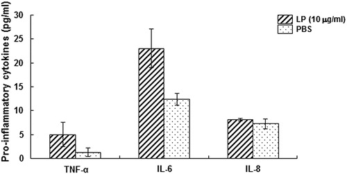 Figure 4. Effects of M. genitalium LAMPs on the production of pro-inflammatory cytokines in HeLa cells.Note: HeLa cells were treated with 10 μg/mL M. genitalium LAMPs, and the contents of TNF-α, IL-6 and IL-8 were determined using ELISA. The cytokines of the LP group were increased, to varying degrees, compared with the PBS (control) group. Compared with the control group, *p < .05.