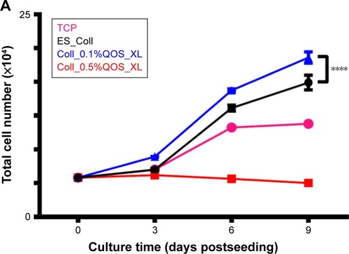 Figure 6 Assessment of biocompatibility of QOS crosslinked collagen mats for primary hDFs. (A) MTS assay showing the metabolic activity of hDFs seeded onto various electrospun mats. The metabolic activity was converted into total cell numbers by calibration method. The average cell numbers is reported as mean ± SD (n=3). Statistical significance is only indicated for ES_Coll and Coll_0.1%QOS_XL (****p<0.0001) at 9 days p.s. (B) SEM images showing the morphology of hDF seeded on various scaffolds after 3 and 6 days p.s. A higher coverage of hDFs seeded on Coll_0.1%QOS_XL was observed compared with other scaffolds. Scale bar = 10 μm. Insets are the confocal images of hDFs (6 days p.s.) after CMFDA staining. Scale bar = 20 μm. The cytotoxic effect of scaffolds containing higher concentrations of QOS in the dope solution corresponded to the MTS results.Abbreviations: CMFDA, 5-chloromethylfluorescein diacetate; QOS, quaternary ammonium organosilane; hDFs, human dermal fibroblasts; MTS, 3-(4,5-dimethylthiazol-2-yl)-5-(3-carboxymethoxyphenyl)-2-(4-sulfophenyl)-2H tetrazolium; SEM, scanning electron microscopy; p.s., postseeding.