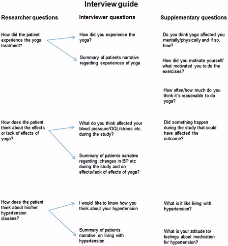Figure 1. Interview guide.