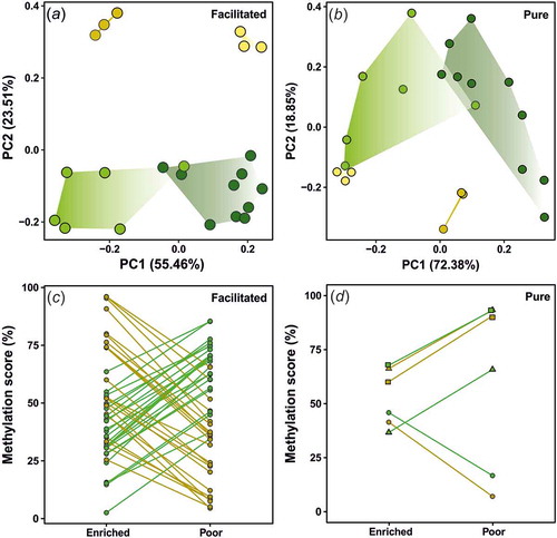 Figure 2. Principal component analysis (PCA) and reaction norms of epialleles across genotypes and environments. PCAs were based on individual scores of methylation across either (a) facilitated or (b) pure annotated DMCs. Dark yellow for DAN individuals on enriched environments; light yellow for DAN genotype on poor environments; dark green for R individuals on enriched environments; light green for R genotype on poor environments. Each reaction norm represents the change on averaged methylation scores (in percentage) for (c) facilitated and (d) pure epialelles annotated DMCs across environments. Different colours represent the genotypes (yellow for DAN; green for R). Different shapes (d) represent different annotated DMCs. Epialelles were classified according to Richards (2006). Detailed information for each annotated DMCs methylation score across genotypes is available in Table 1.