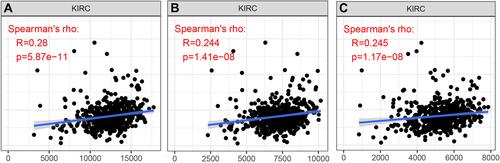Figure 5 Correlation of KIF23 expression with estimate score (A), immune score (B) and stromal score (C) in KIRC.