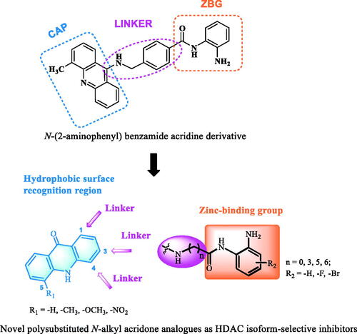 Figure 2. The structure of an N-(2-aminophenyl) benzamide acridine derivative and our design strategy for generating novel isoform-selective HDACIs. CAP, ZBG and Linker are marked with cyan, orange and purple, respectively.